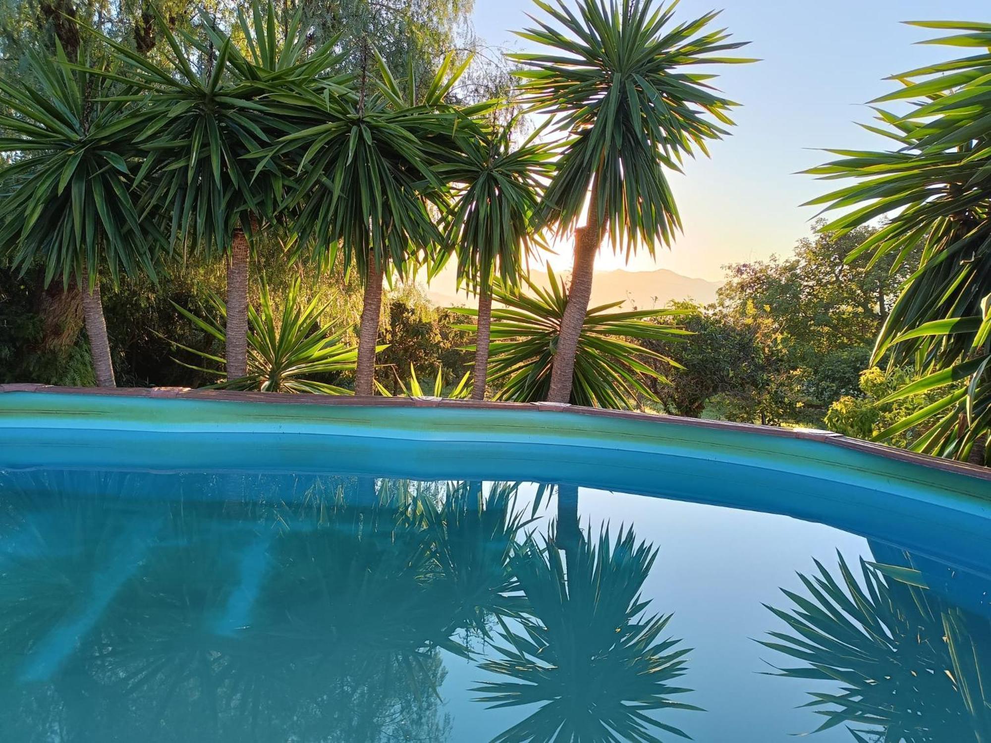 Casita Naranja Villa อะโลรา ภายนอก รูปภาพ